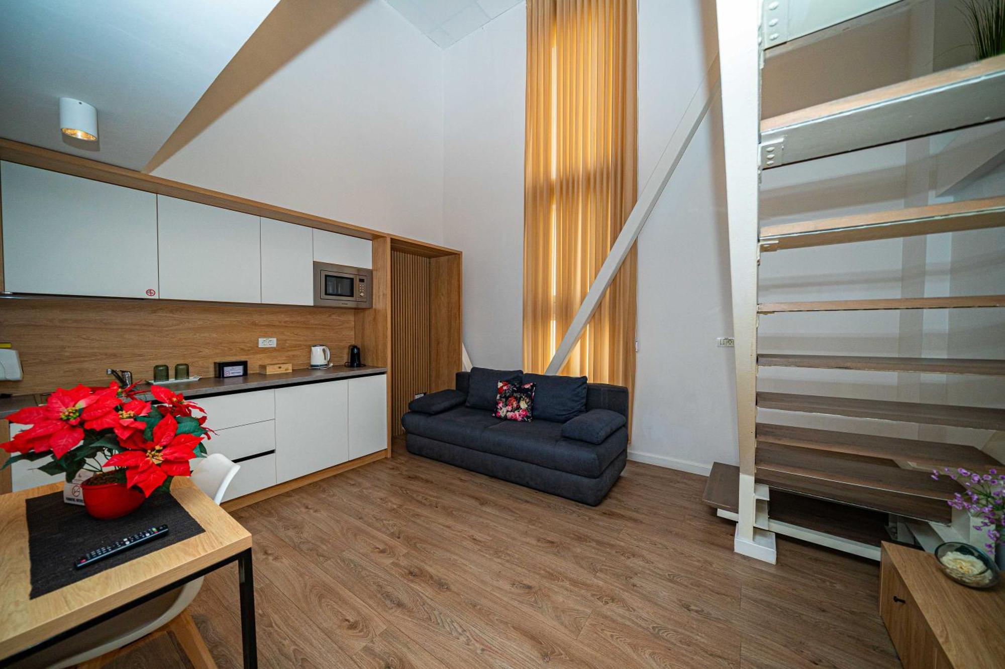 Friends Residence Apartments ティミショアラ エクステリア 写真